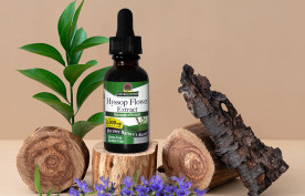 Hyssop - A Herbal History