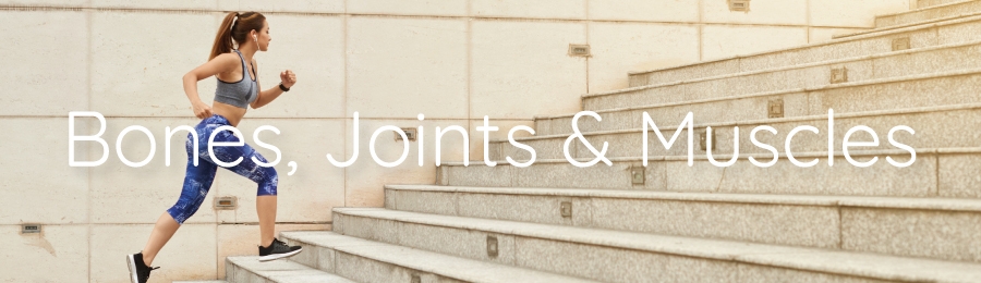 Bones, Joints & Muscles