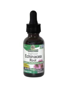 Echinacea Root (30ml)