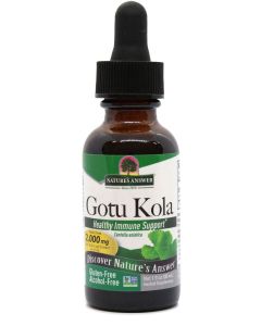 Gotu Kola Herb (30ml)