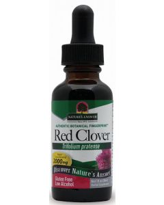Red Clover Tops (30ml)
