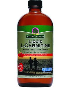 L-Carnitine (480ml)