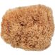 Eco-Harvested Body Sea Sponge 1unit